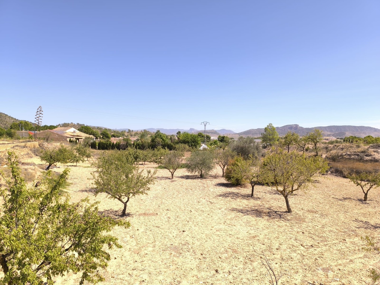 Ander onroerend goed te koop in Monóvar, Alicante