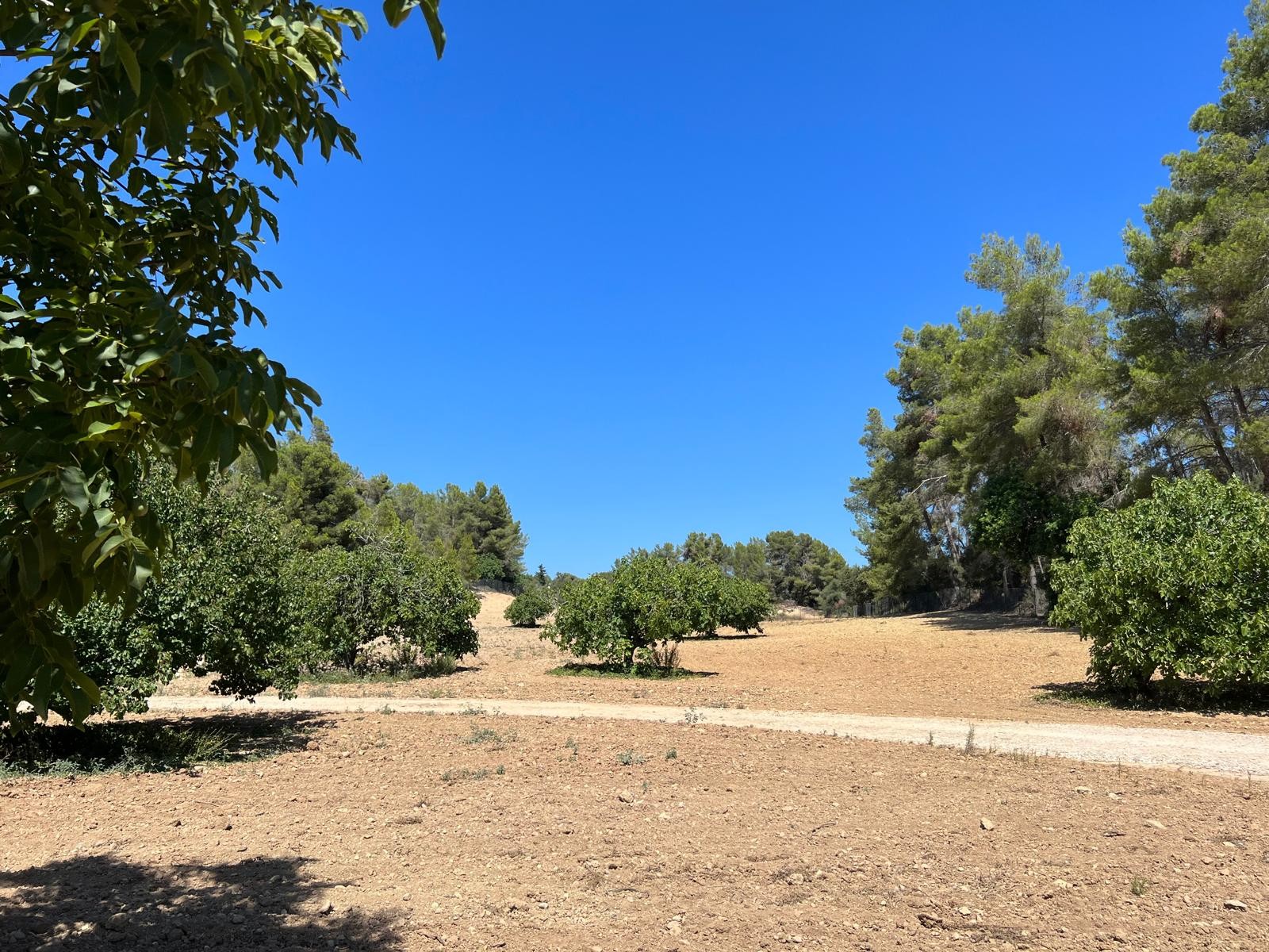 Land in Palma de Mallorca – YC801377