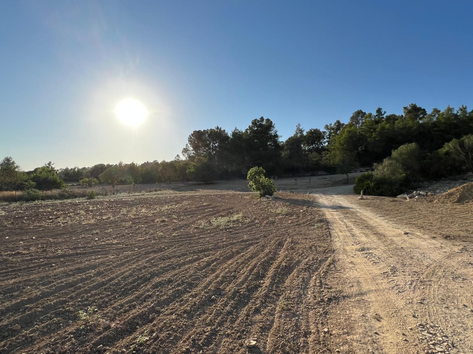 Land in Palma de Mallorca – YC801377