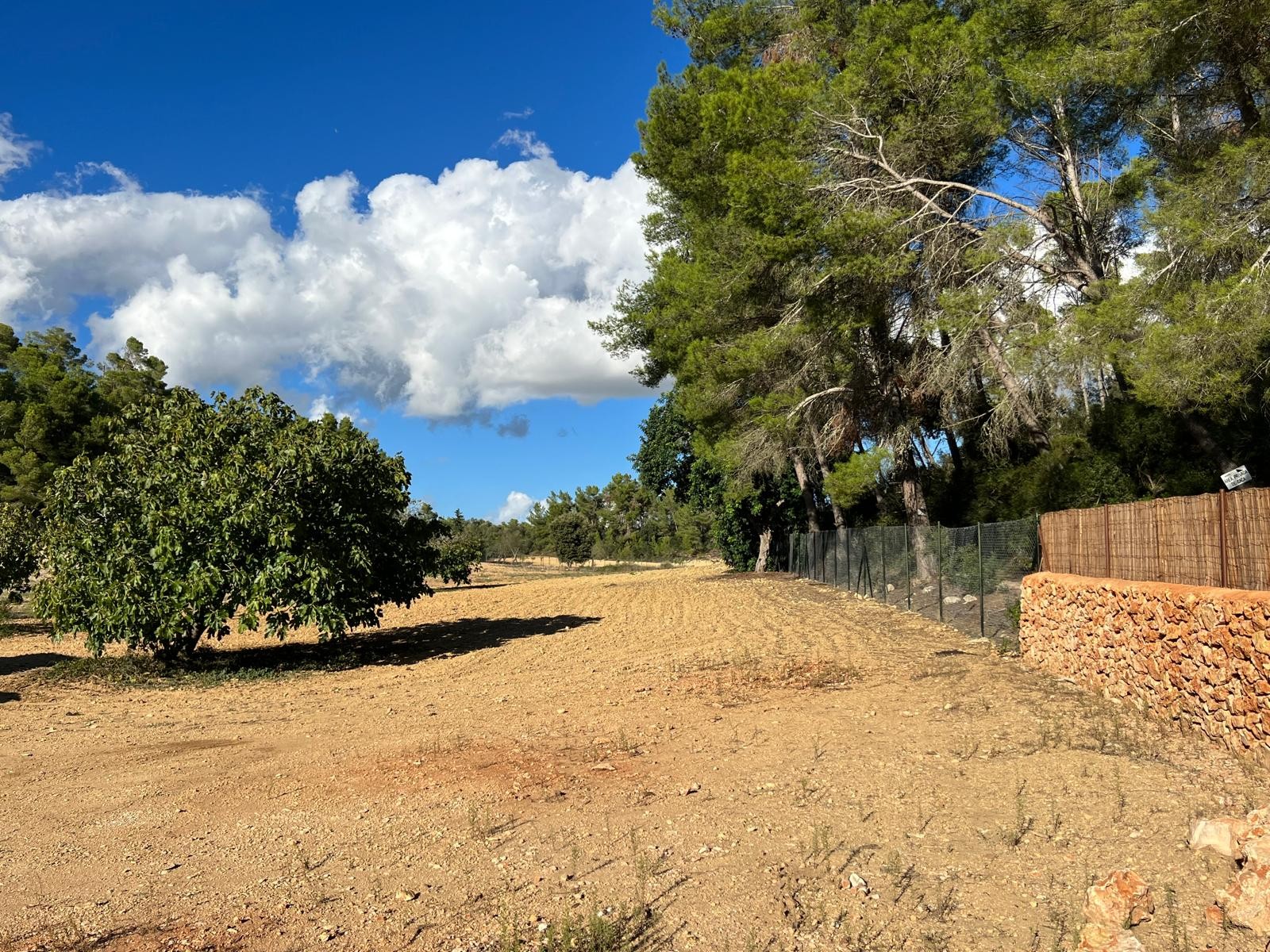Land in Palma de Mallorca – YC801377