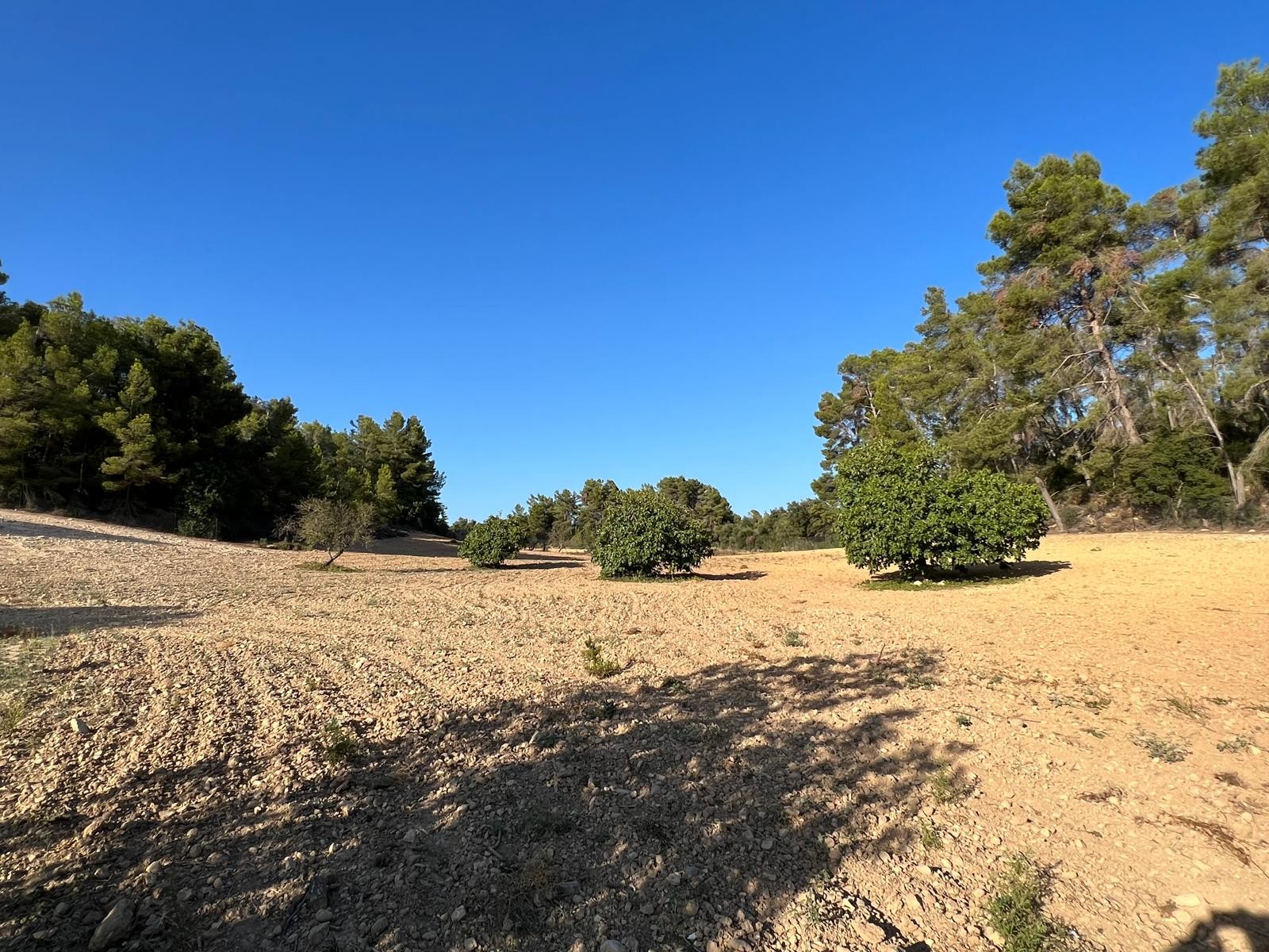 Land in Palma de Mallorca – YC801377