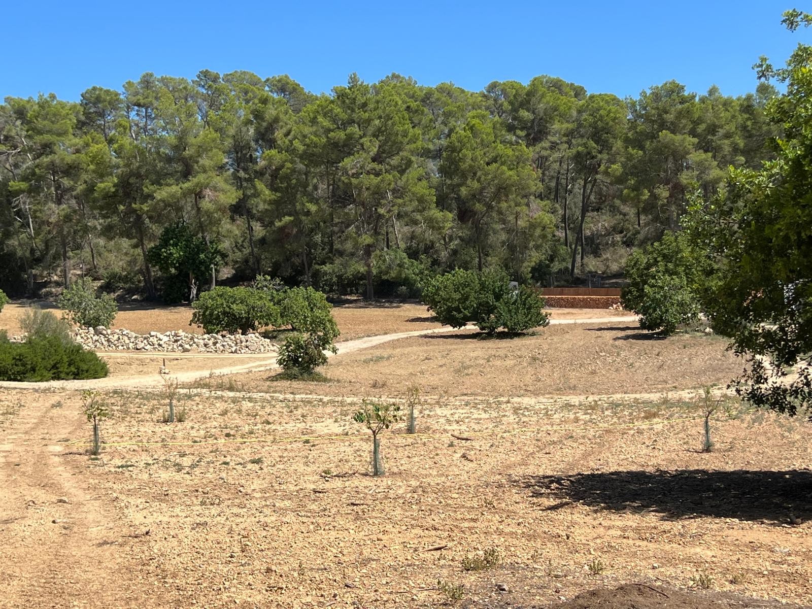 Land in Palma de Mallorca – YC801377