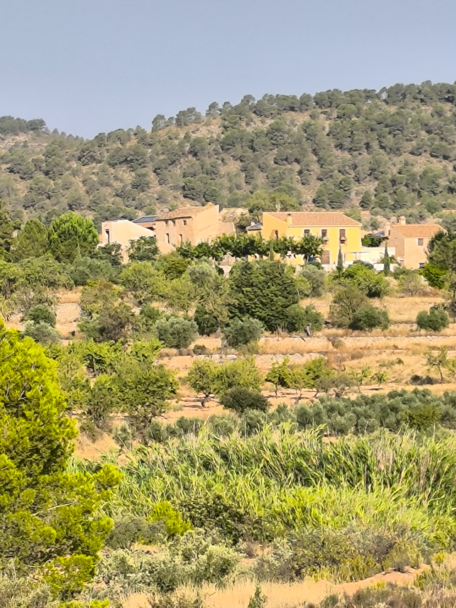 Overig te koop in Monóvar, Alicante