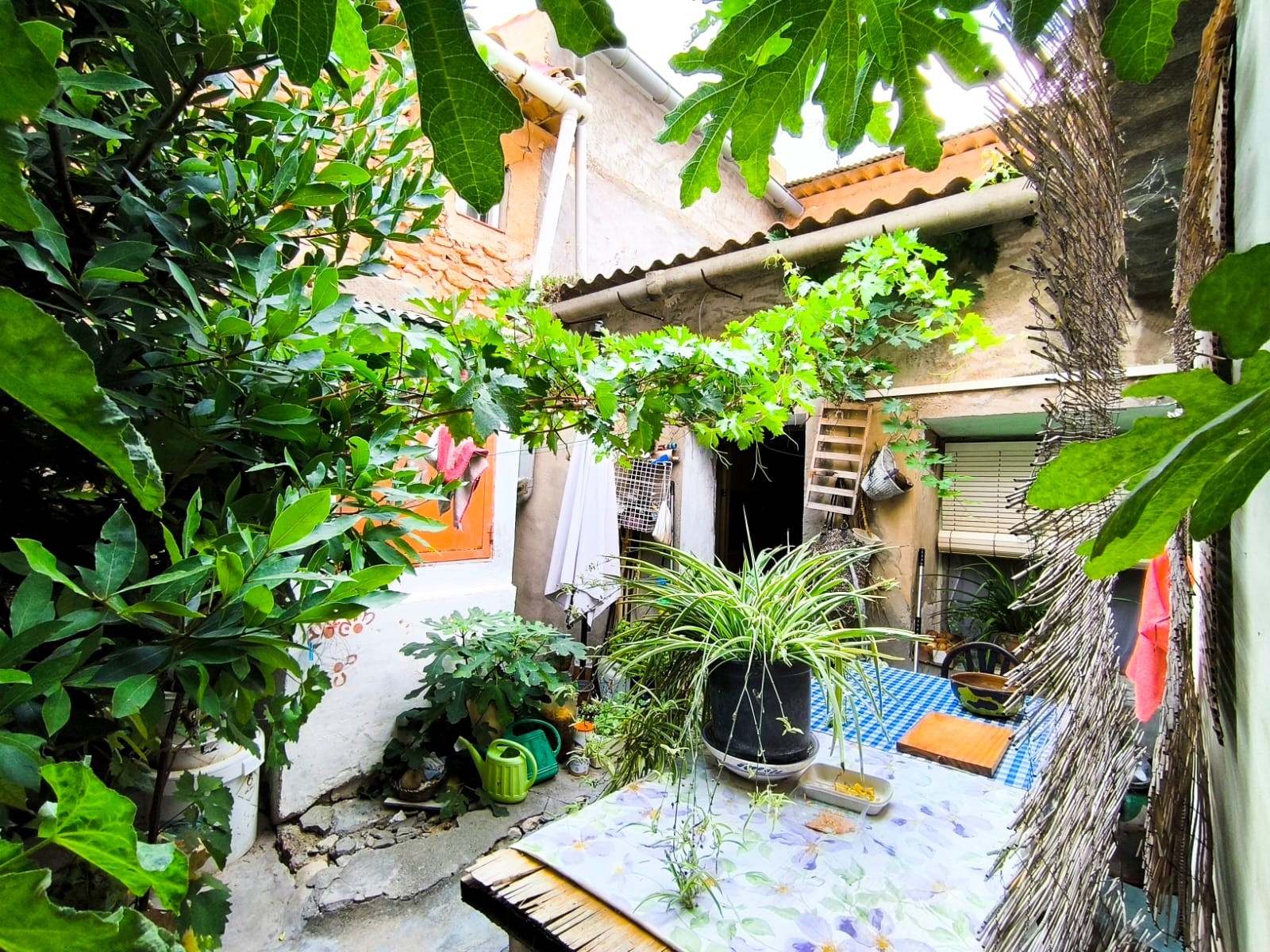 Finca te koop in Monóvar