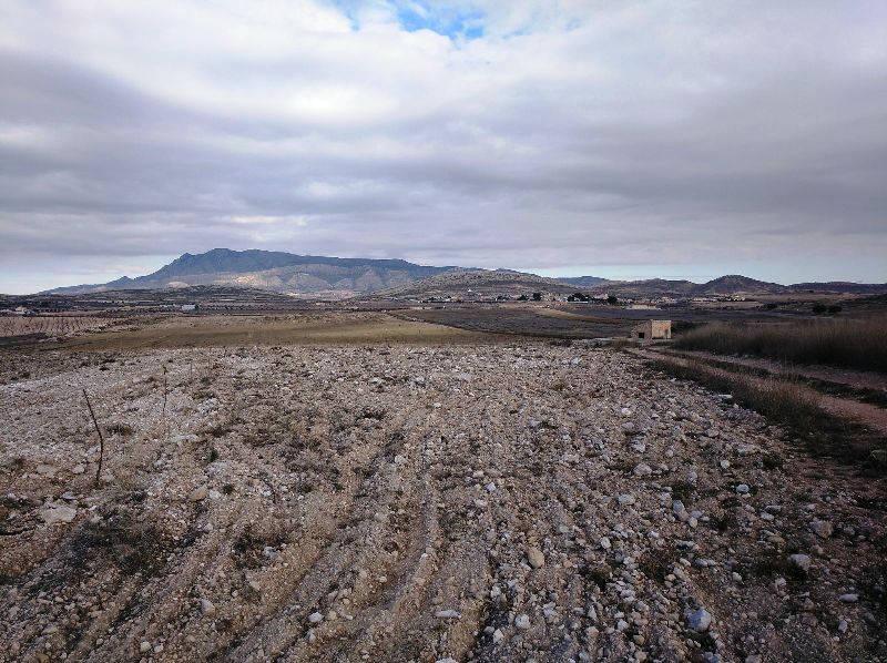 Perceel te koop in Jumilla