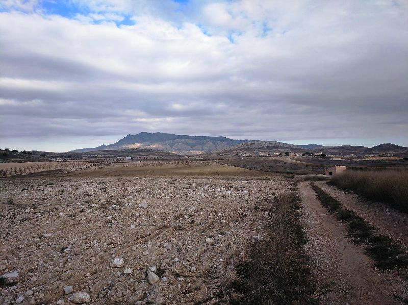 Perceel te koop in Jumilla
