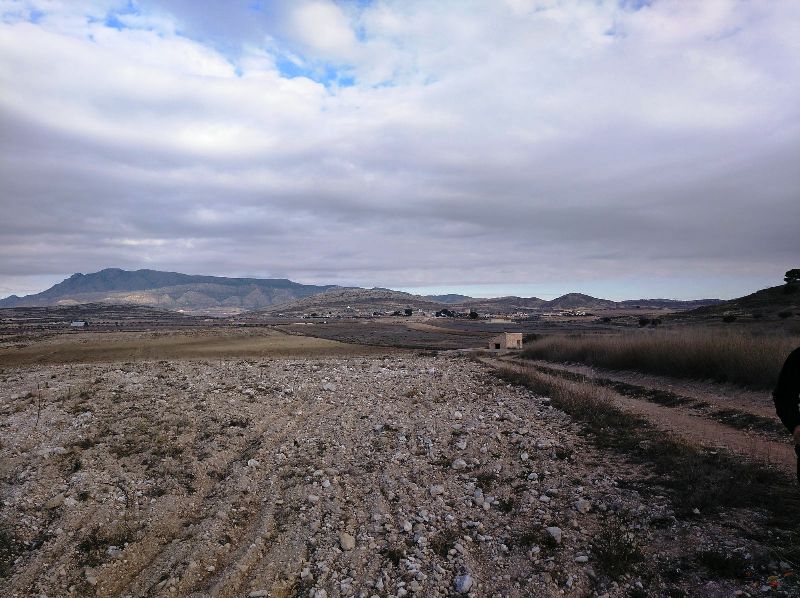Perceel te koop in Jumilla
