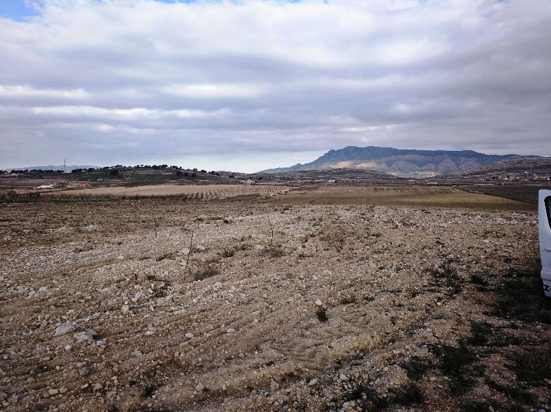 Perceel te koop in Jumilla