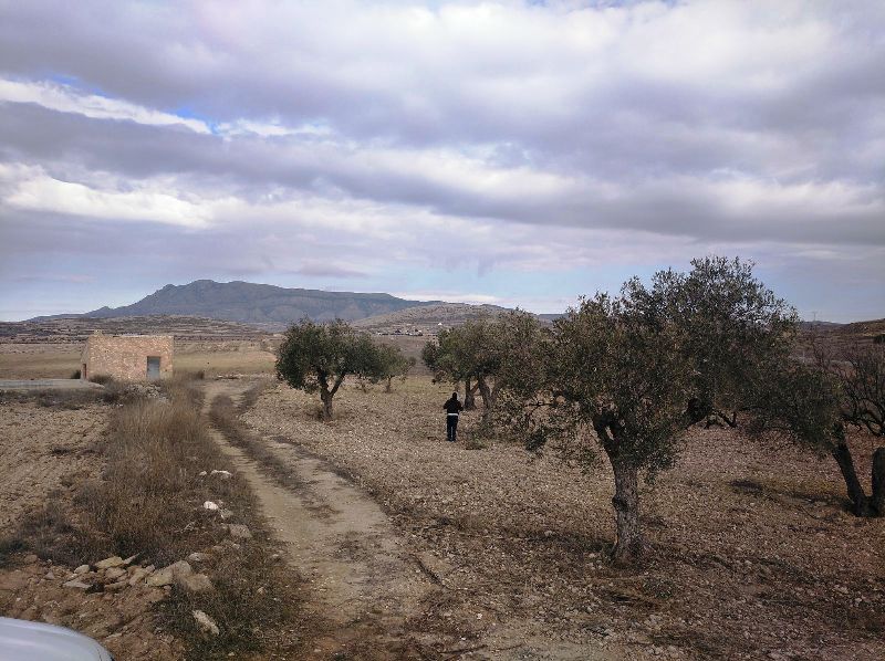 Perceel te koop in Jumilla