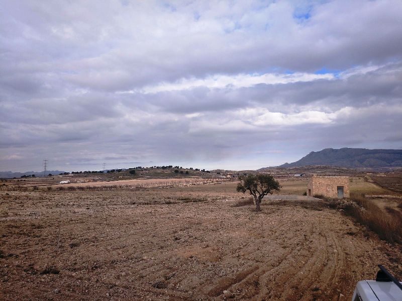 Perceel te koop in Jumilla