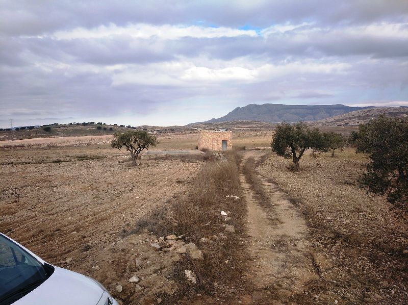 Perceel te koop in Jumilla