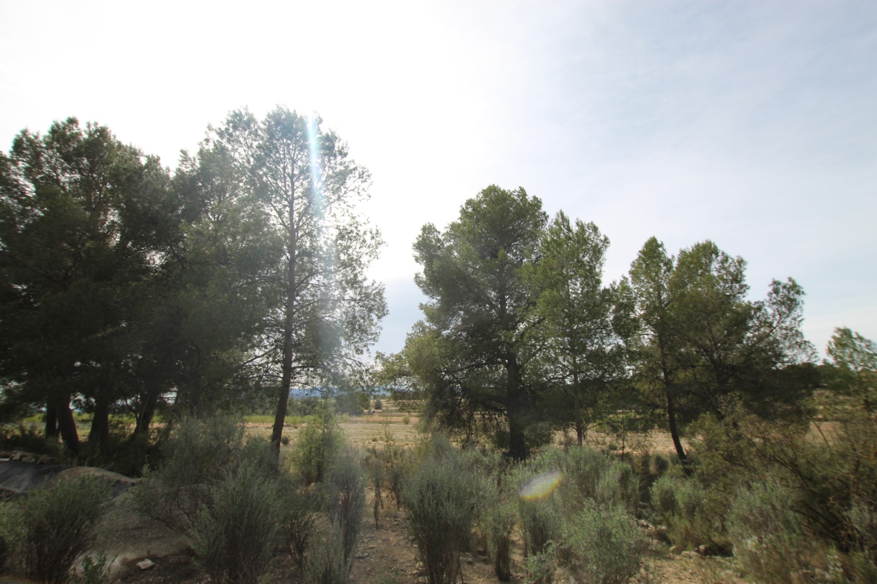 Finca te koop in Monóvar