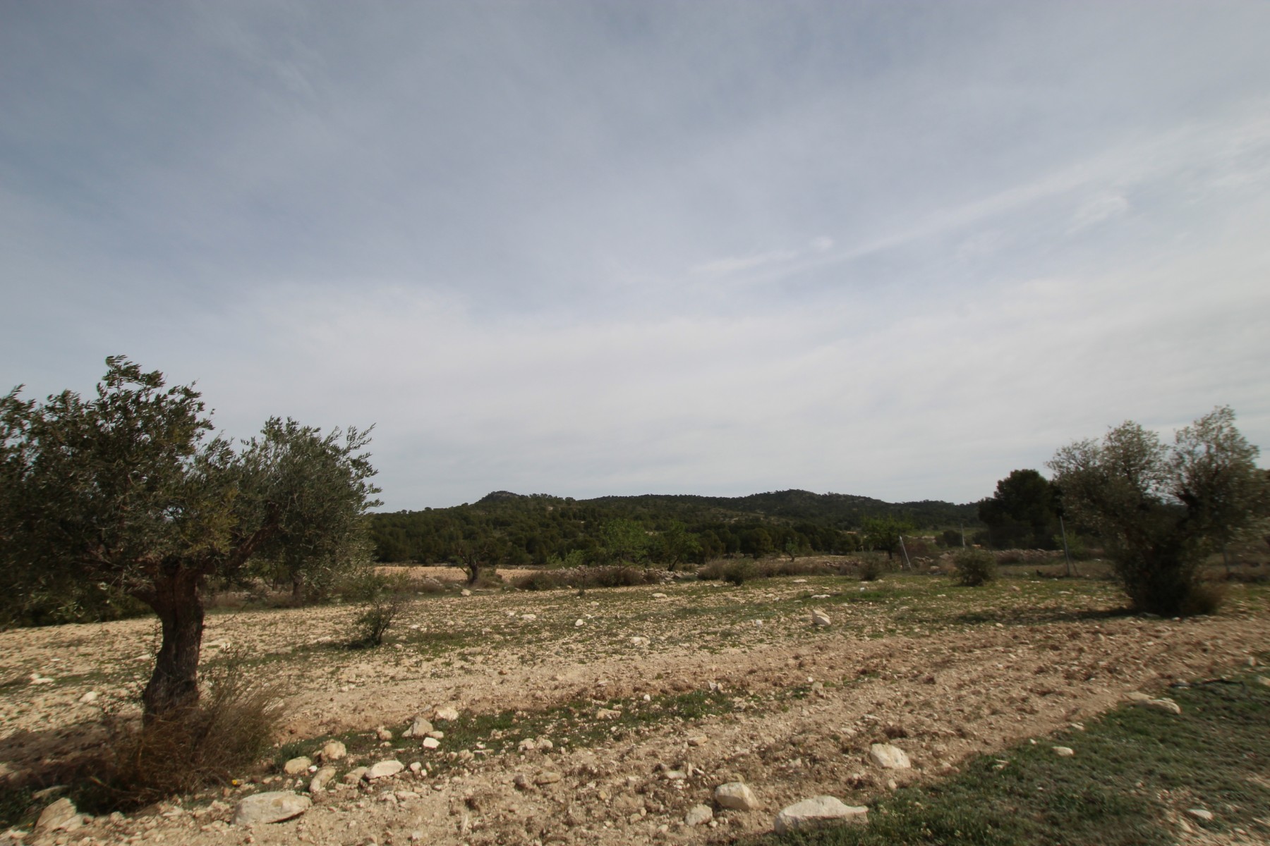 Finca te koop in Monóvar