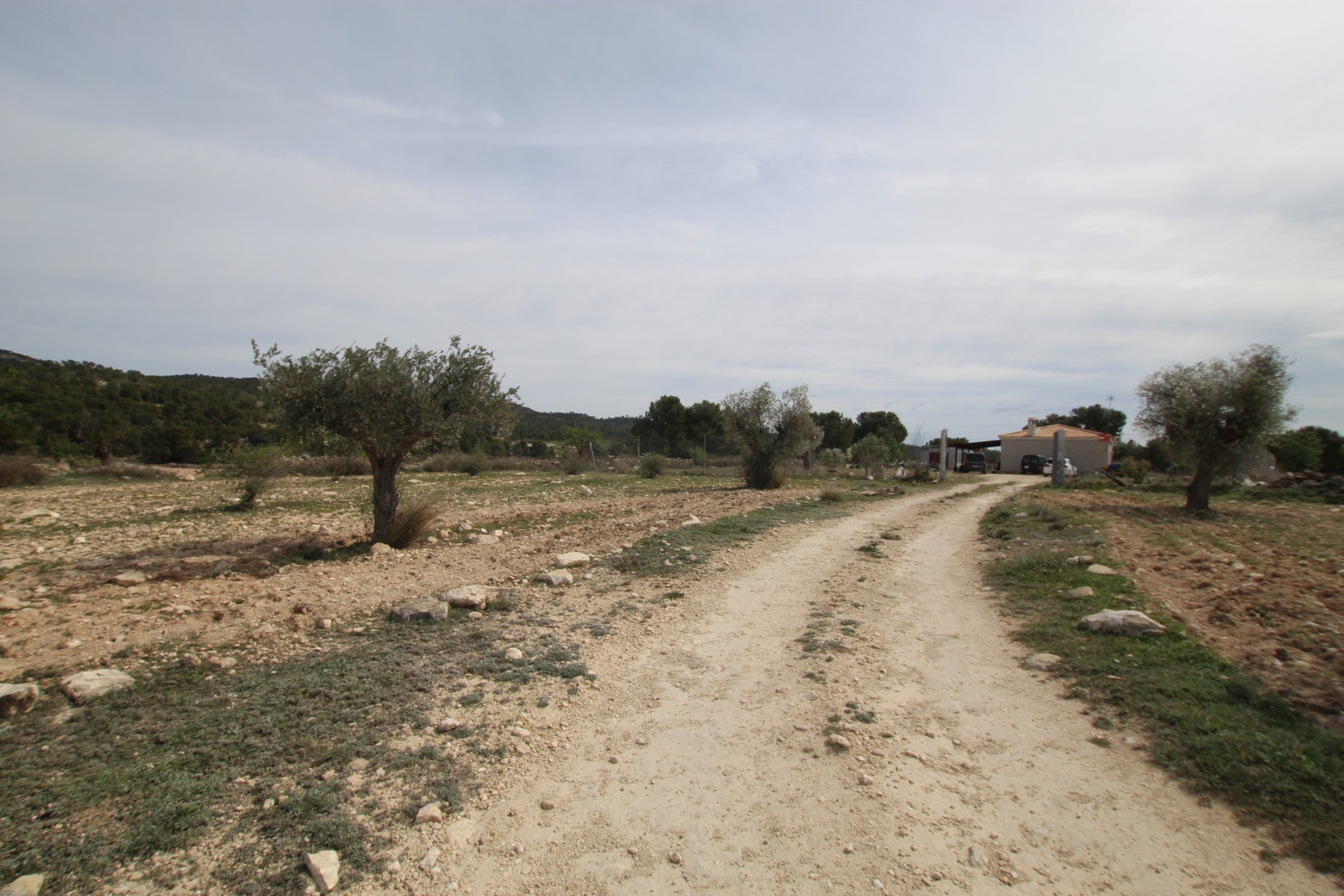Finca te koop in Monóvar