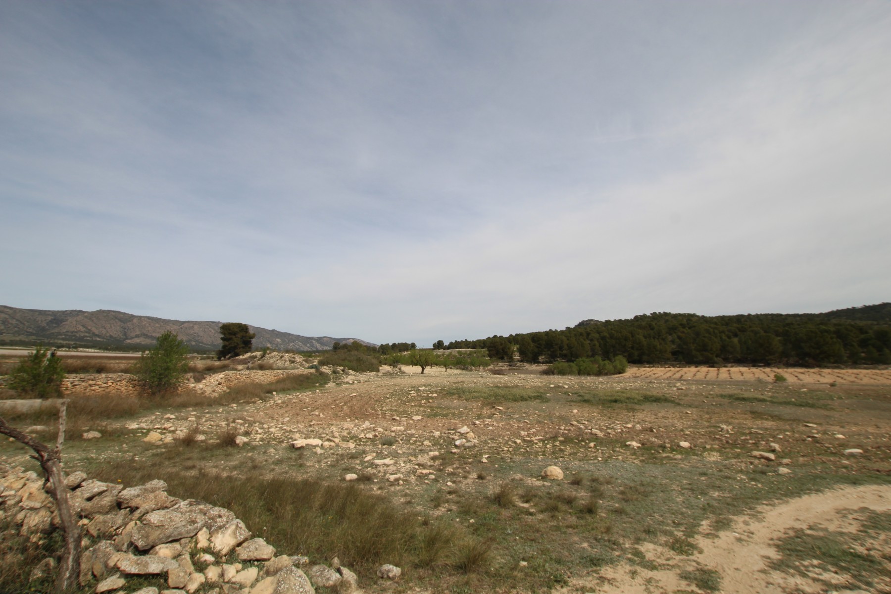 Finca te koop in Monóvar