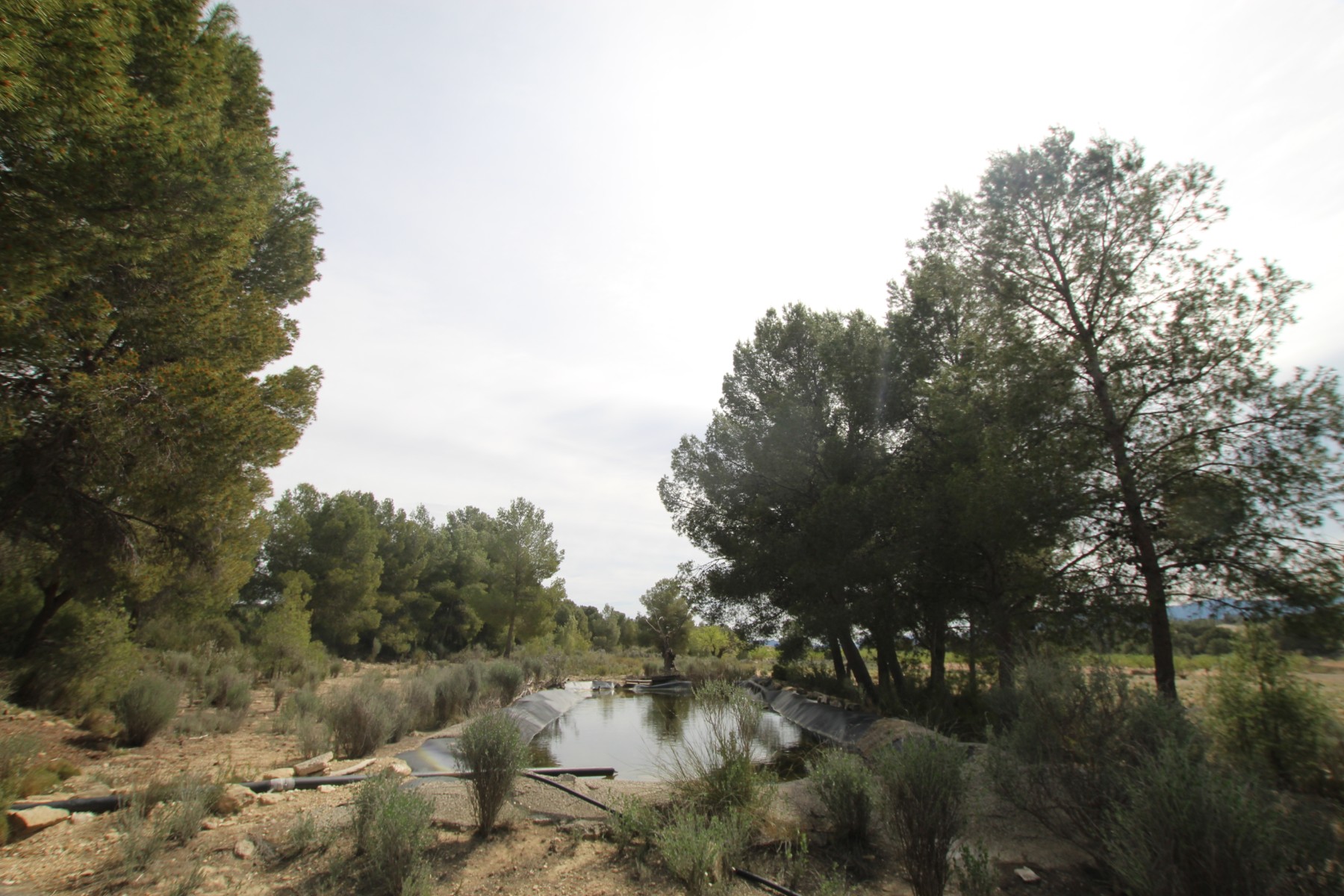 Finca te koop in Monóvar