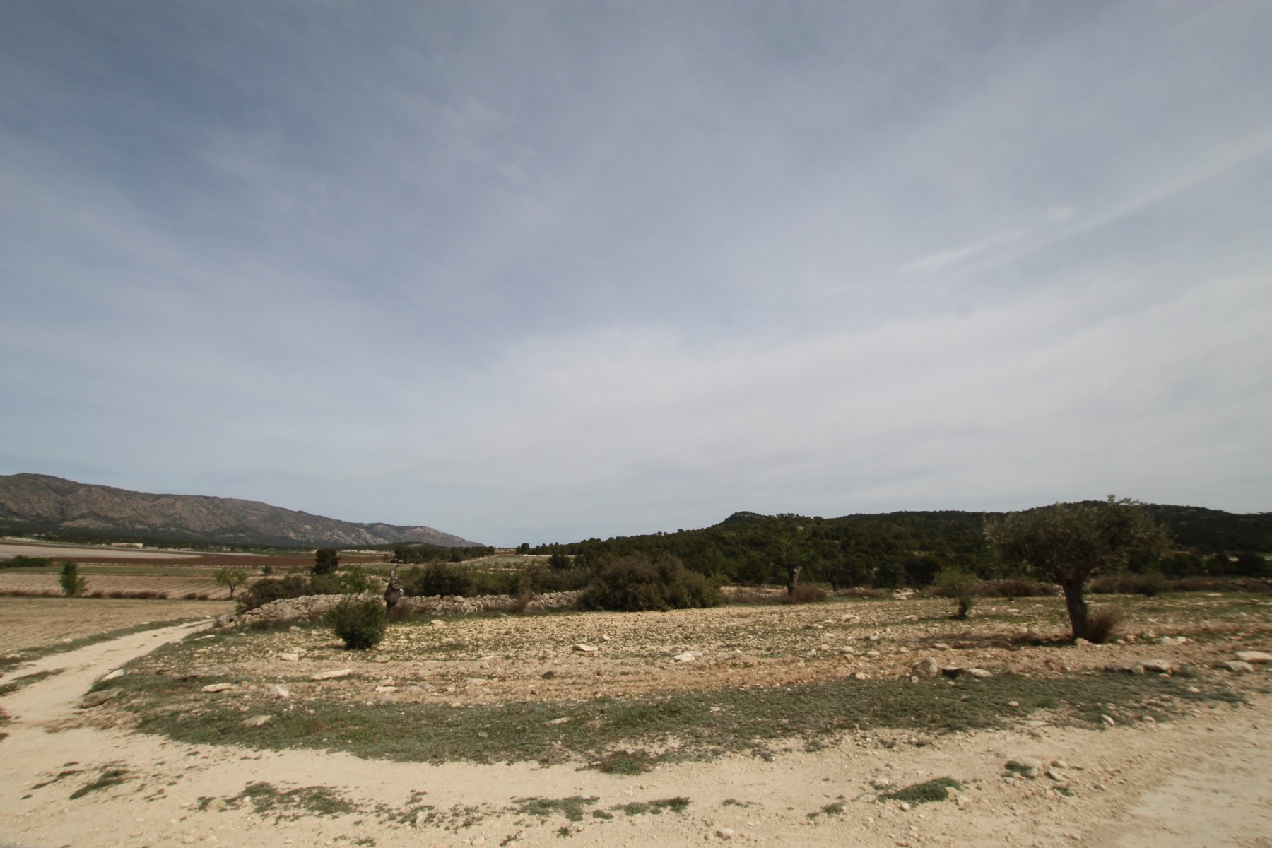 Finca te koop in Monóvar