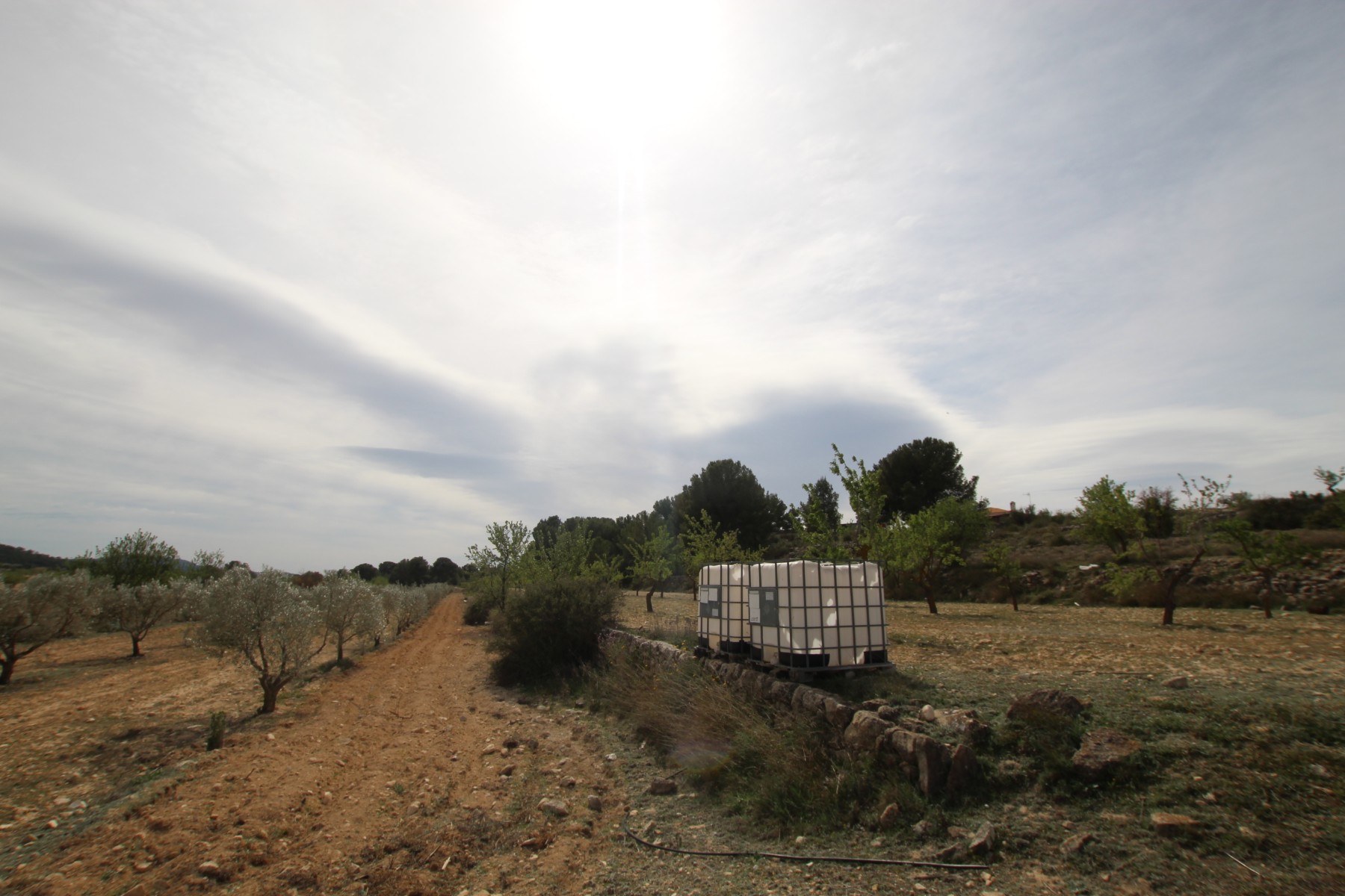 Finca te koop in Monóvar