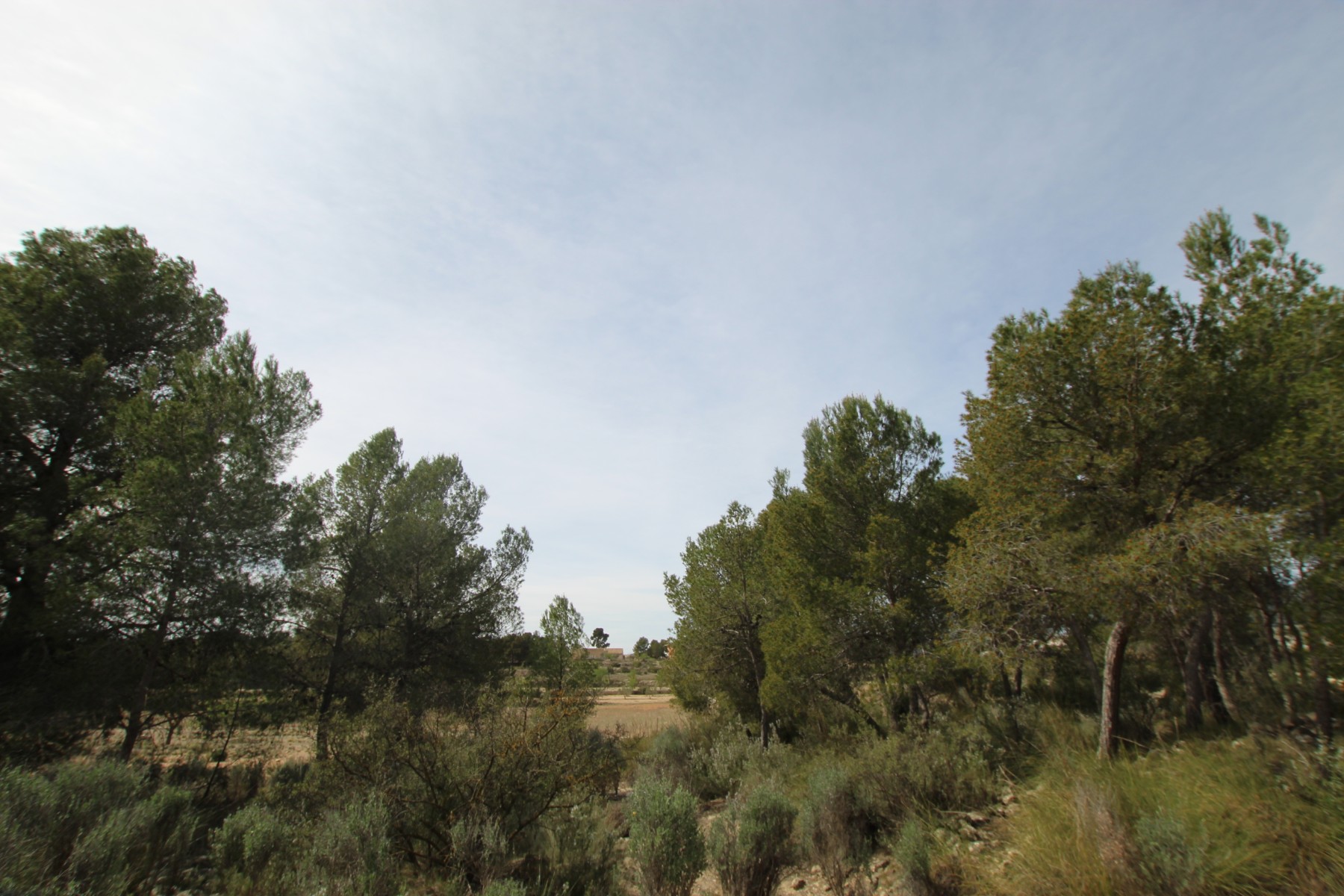Finca te koop in Monóvar