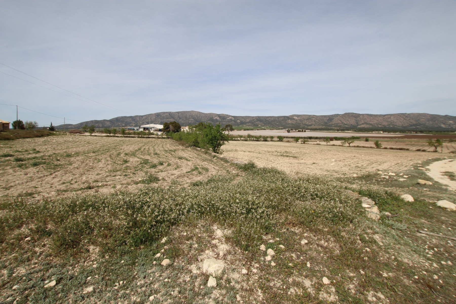 Finca te koop in Monóvar