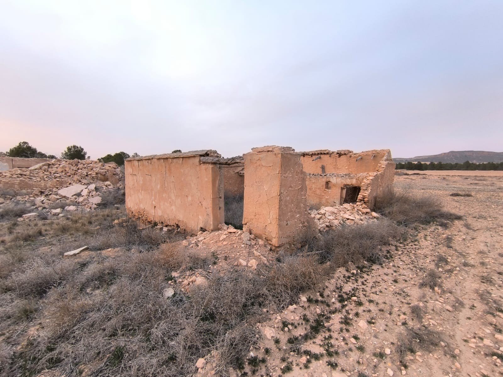 Perceel te koop in Yecla