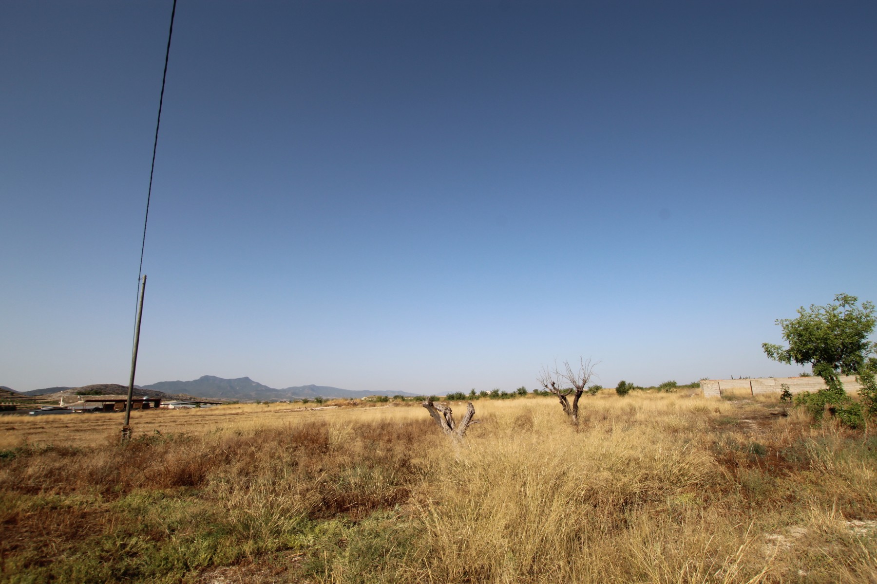 Finca te koop in Jumilla