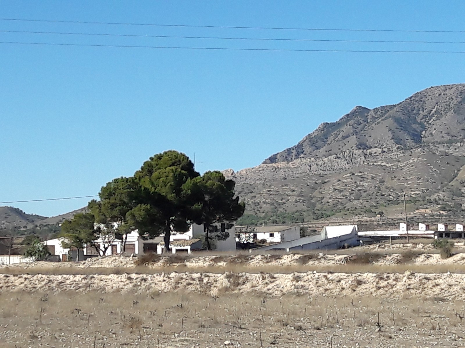 Finca te koop in Jumilla