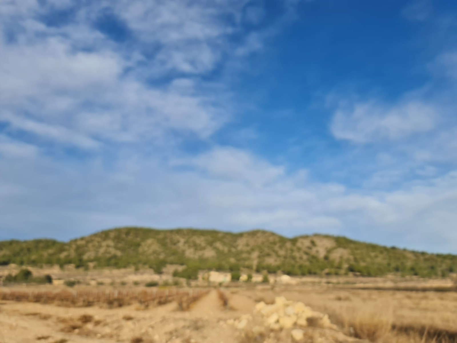 Perceel te koop in Monóvar