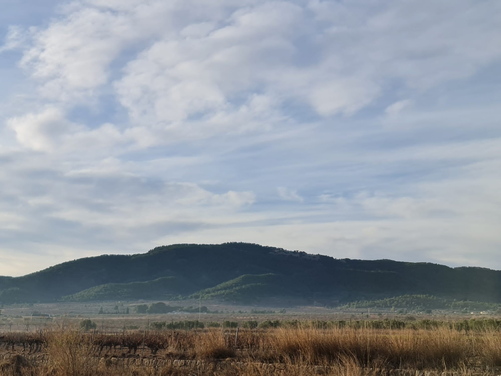 Perceel te koop in Monóvar