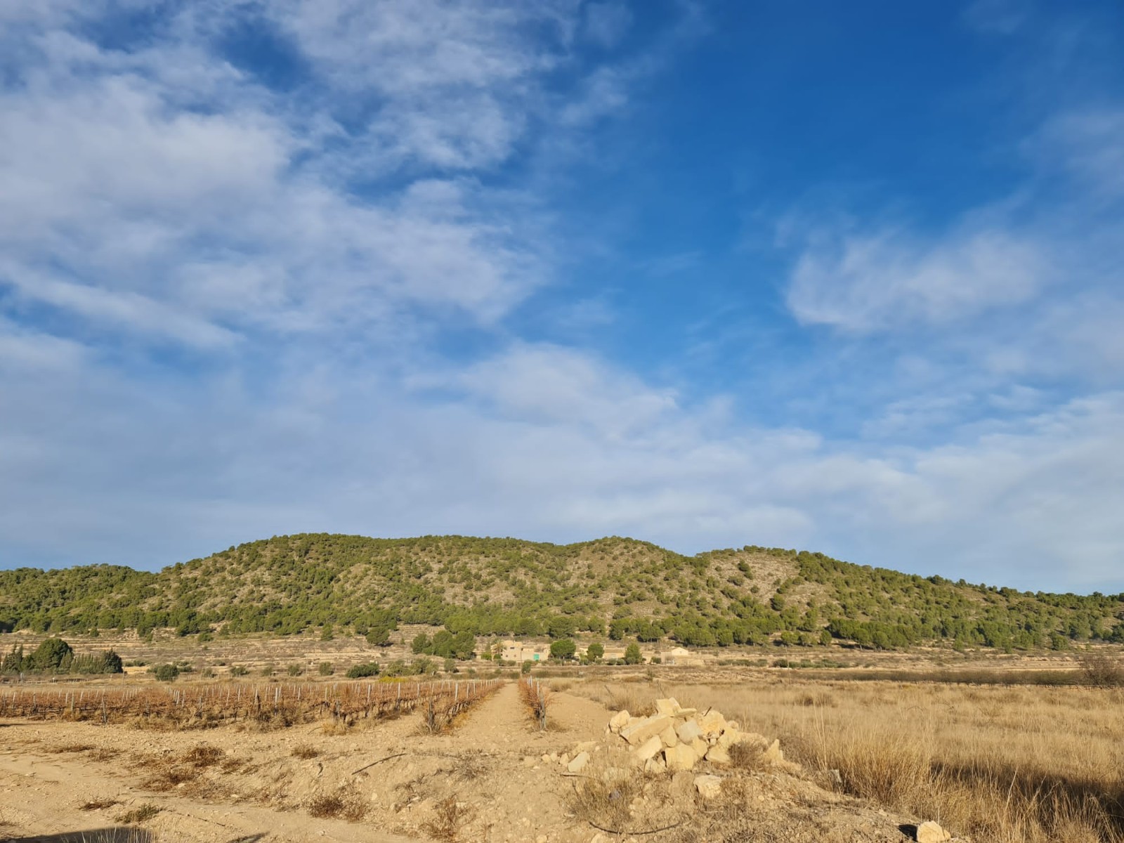 Perceel te koop in Monóvar