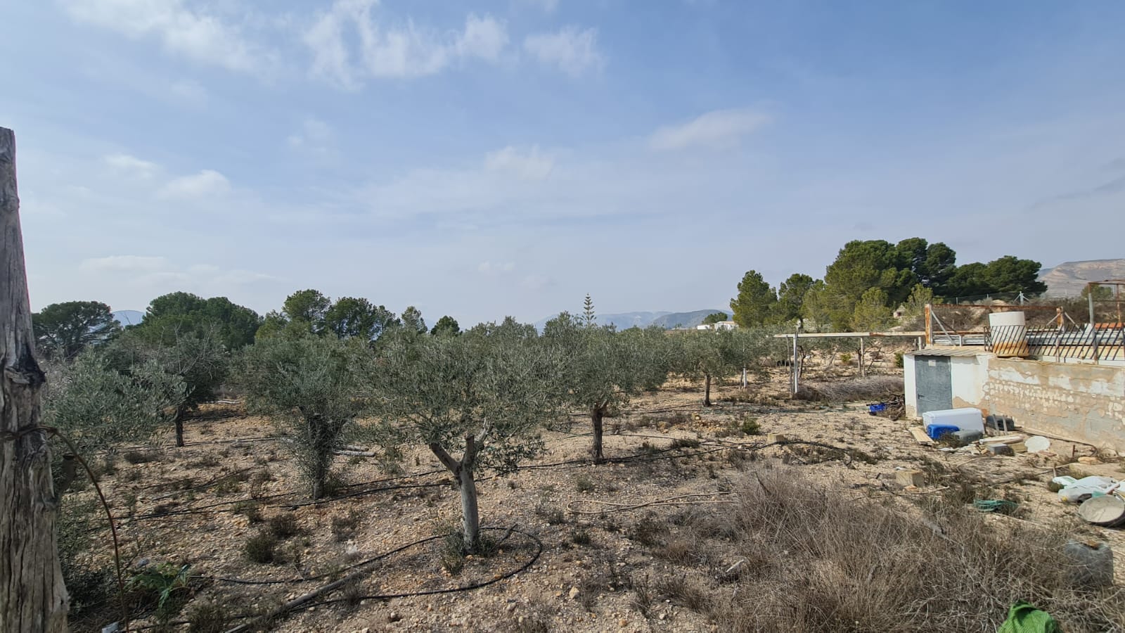 Finca te koop in La Romana