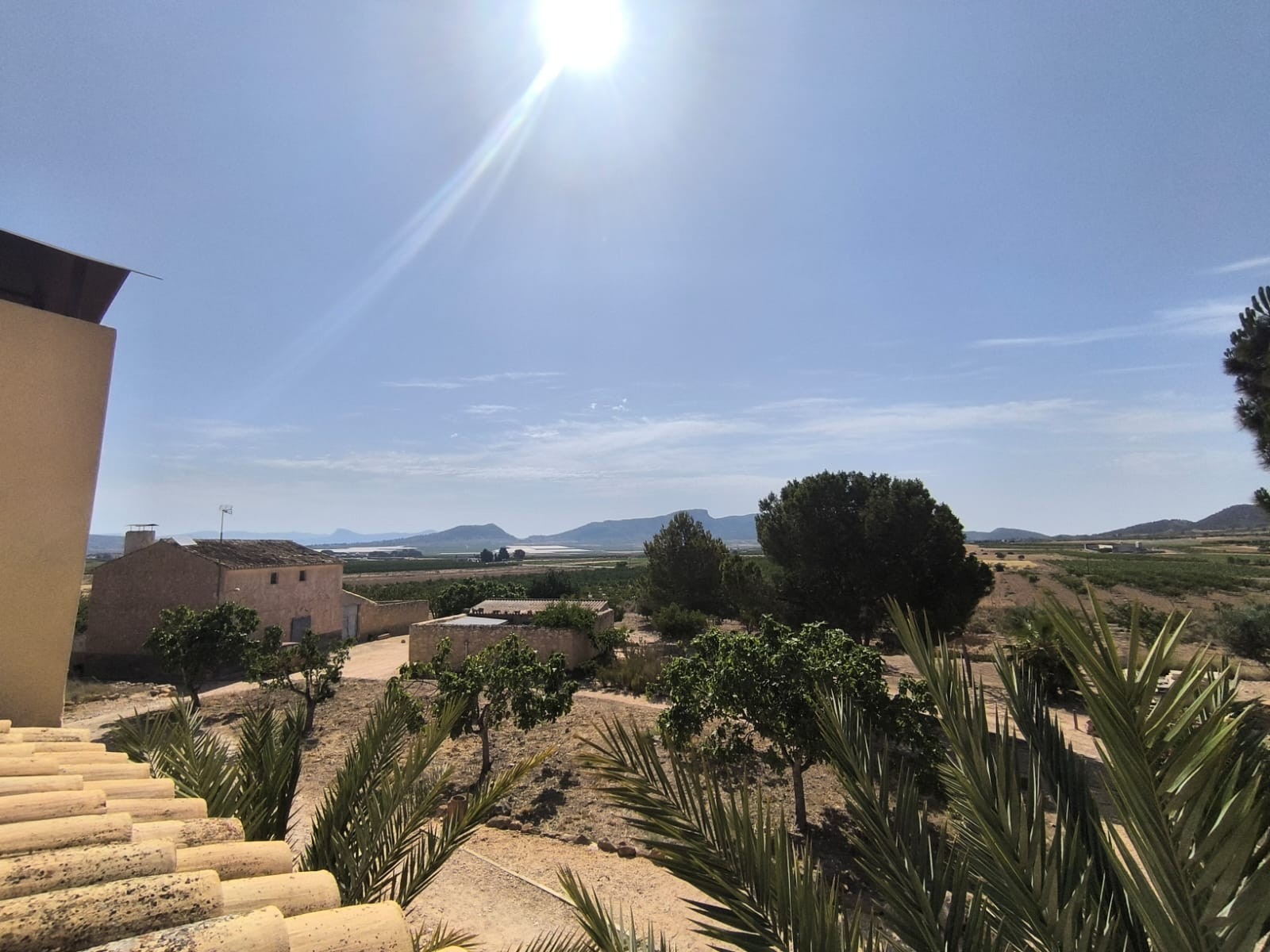 Vrijstaande villa te koop in Monóvar