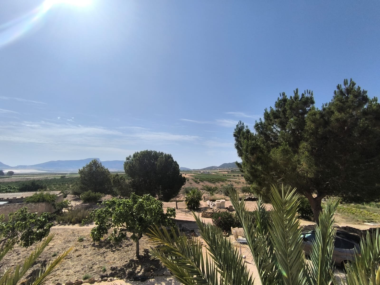 Vrijstaande villa te koop in Monóvar