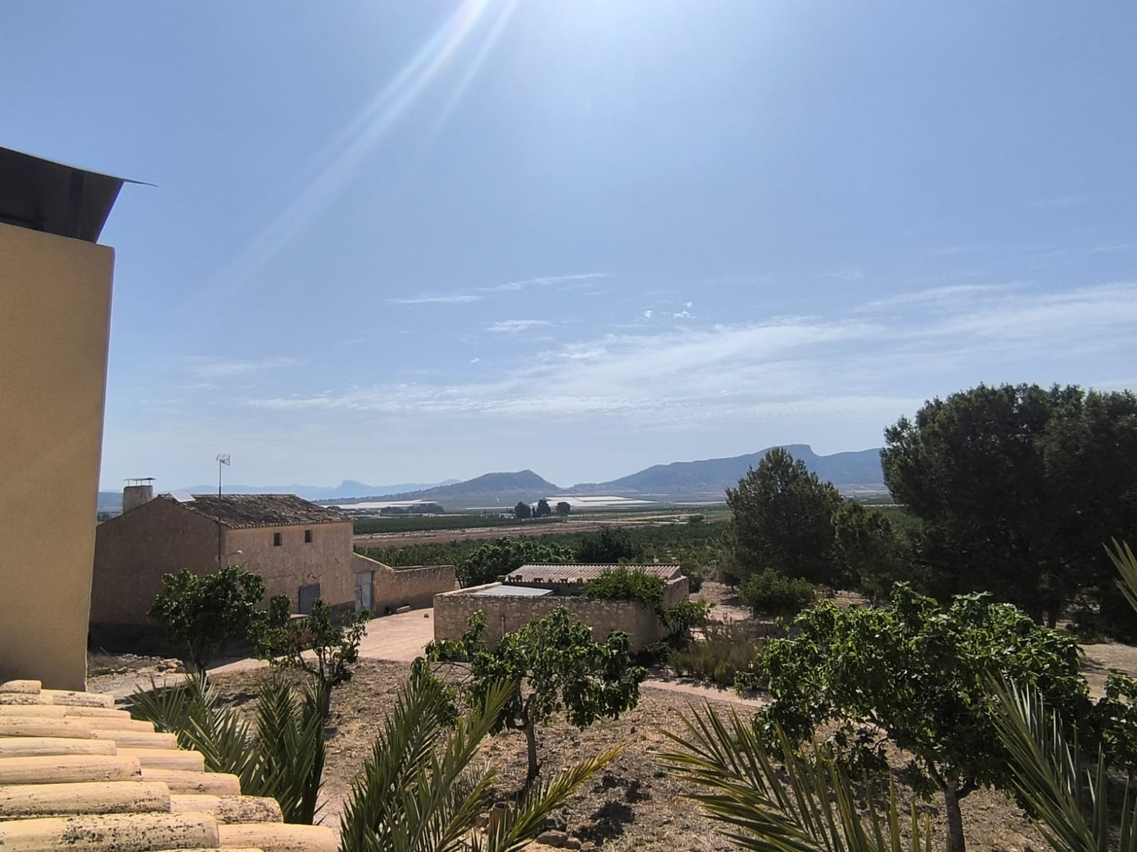 Vrijstaande villa te koop in Monóvar